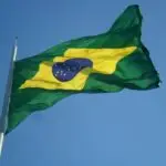 leaf-flower-wind-green-flag-yellow-629035-pxhere.com