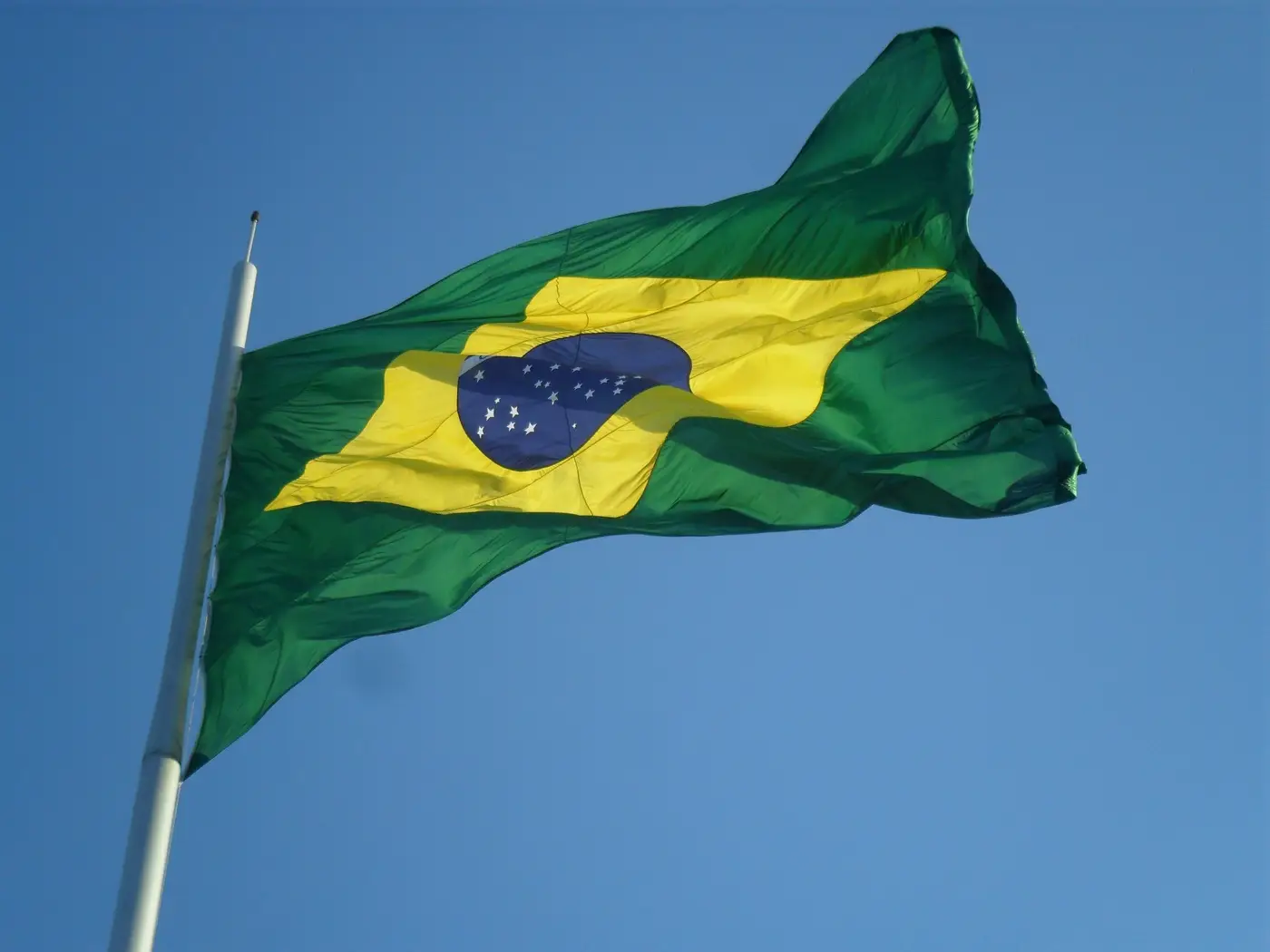 leaf-flower-wind-green-flag-yellow-629035-pxhere.com
