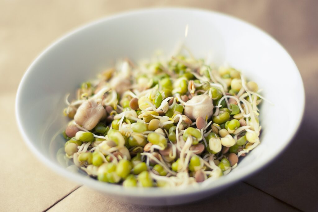 growth-plant-asian-bowl-dish-food-688142-pxhere.com