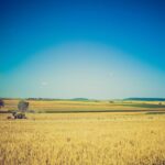 landscape-horizon-plant-sky-tractor-field-99072-pxhere.com